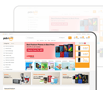 Software Development Services